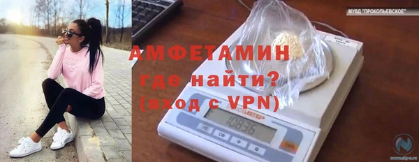стаф Балахна